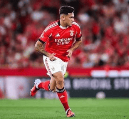 jiuyou-赛后本菲卡内部沟通——社区盾节点到来，态度坚定，赛季目标并未改变(卡纳莉斯个人资料)